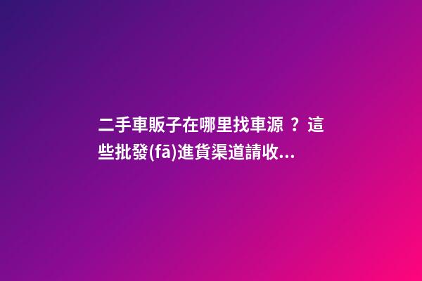 二手車販子在哪里找車源？這些批發(fā)進貨渠道請收好！